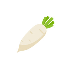 white radish Ingredients for Healthy Cooking