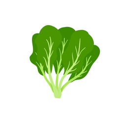 Spinach vector. Healthy green leaves for health lovers.