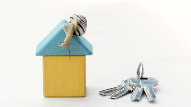 snail sliding on wooden cubby house shape isolated with keys from the door.buy rent or sell a house apartment,insurance or mortgage concept.blue color roof.beautiful little garden snail carrying shell