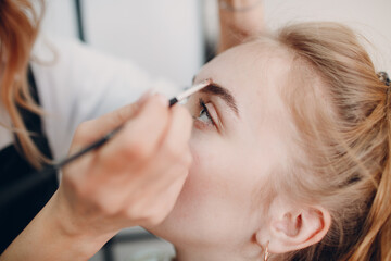 Professional Brows coloring, wax and lamination. Woman beauty salon.
