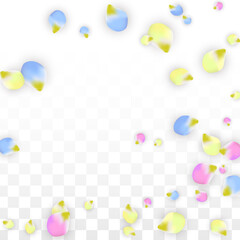 Vector Realistic Colorful Petals Falling on Transparent Background.  Spring Romantic Flowers Illustration. Flying Petals. Sakura Spa Design. Blossom Confetti. Design Elements for Wedding Decoration.