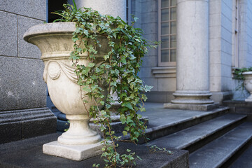 Houseplants in pots placed at the entrance of the building