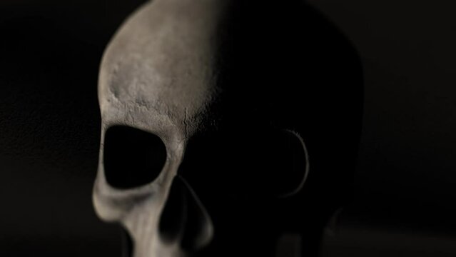 Skull in dark ambient with slow moving lights for crime forensic science and archeology