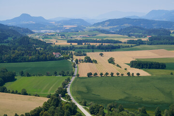 Road. View green meadow and farm fields, forest in the mountains