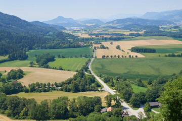 Road. View green meadow and farm fields, forest in the mountains