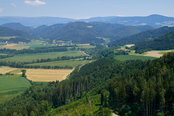 Fototapeta na wymiar View green meadow and farm fields, forest in the mountains