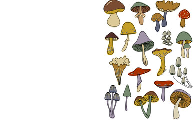 Cartoon mushrooms autumn vector set.