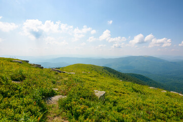 Fototapeta premium trail down the grassy hill. stones on the green hillside meadow. summer vacation in mountains. sunny afternoon weather with fluffy clouds on the sky