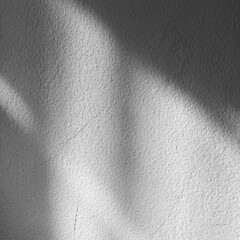 Black shadows on the concrete wall, abstract shadow.