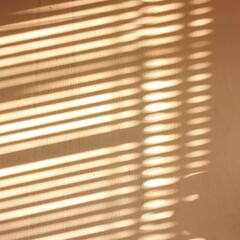 Shadows on the concrete wall, abstract shadow.