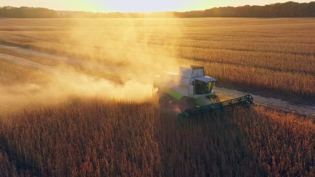 Harvesting combine field food agriculture wheat sunset food working
