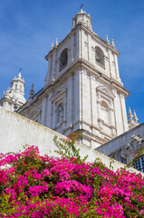 Pink flowers in front of the Sao Vicente church in Lisbon, Portugal