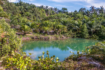 Scenic landscape view of a natural lagoon with transparent turquoise water in rainforest jungle at...