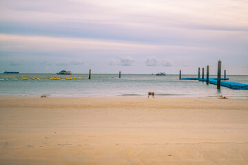 Tawaen Beach at Larn island (Koh Larn). Beautiful of sea at Chonburi, Thailand.