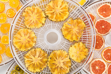 round fruit slices on a drying tray, top view