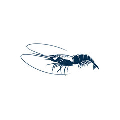 Shrimp isolated shellfish crustaceans. Vector prawn, seafood, underwater marine animal with long whiskers. Palaemon serratus or Crangon crangon, appetizer snack, tiger sea shrimp blue icon