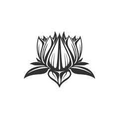 Waterlily hand drawn lotus flower, Buddhism symbol. Vector water lily blooming exotic plant