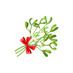 Mistletoe branches vector, Christmas holiday bouquet with ribbon and bow. Festive plant, floristic decor