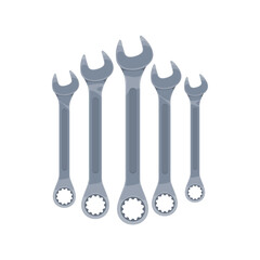 Wrenches or spanners, tools set for construction or carpentry, vector. Hardware equipment, metric combination spanners or wrenches with open and box ring ends