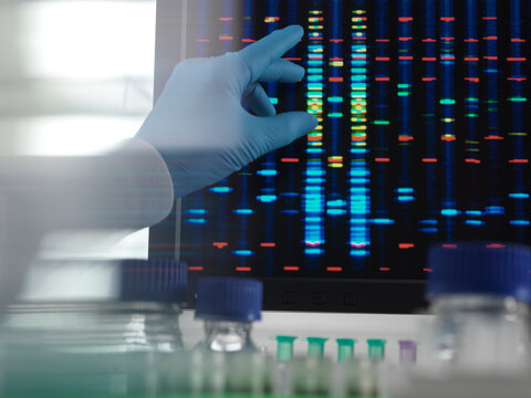 DNA analysis