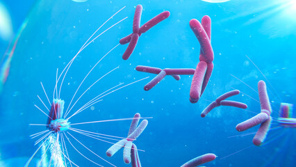 Close up of prophase cell prophase, illustration