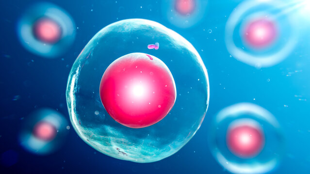 Parent cell, illustration