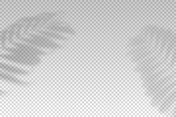 Shadow leaves. Shade wall. Tropical plants leafs reflection overlay effect. Sun light from the window on the wall for background prints. Palm flower shadows. Shades tropic. Vector illustration