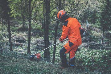 Man holding a brushcutter cut grass and brush. Lumberjack at work wears orange personal protective equipment. Gardener working outdoor in the forest. Security, occupation, forestry, worker, concept