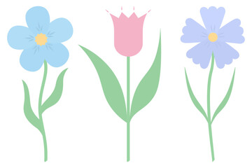 Flowers. Set of vector illustrations. Violet, tulip, cornflower. Delicate plants with green leaves. Flowering plants with a yellow heart. Flat style. Isolated background. Idea for web design