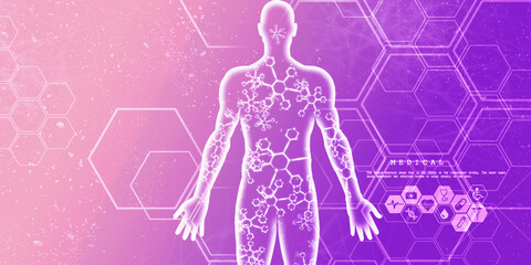 2d illustration Human Male Muscle Body