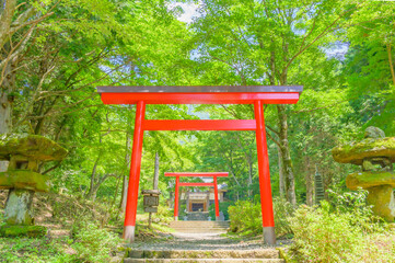 Red "Torii (Shrine Gate)" in the Mountain