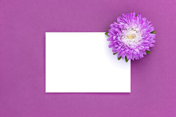White blank card and flower on purple background. Minimal style. Top view Flat lay Mockup
