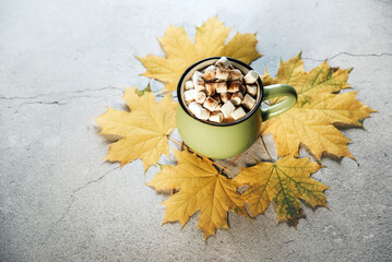 Obraz na płótnie Canvas Cozy autumn hot drink with marshmallow and yellow maple leaves