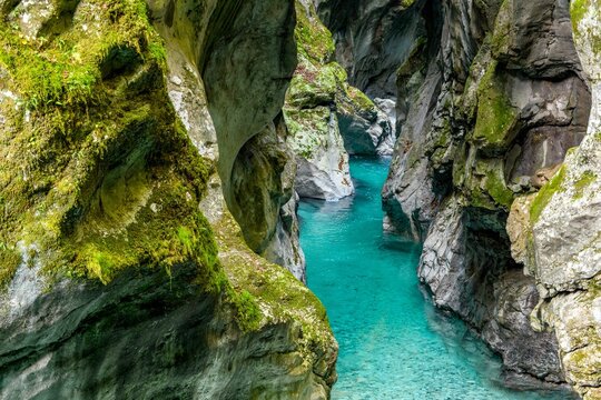 Breathtaking view of a turquoise stream in rocky Tolmin gorge in Slovenia