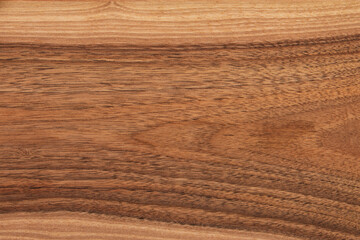 wood texture of different types of wood