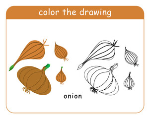 Coloring book for children. set of Onion heads in color and black and white. Vector illustration.