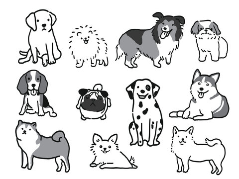 Pomeranian Line Art Images Browse 371 Stock Photos Vectors And Video Adobe Stock