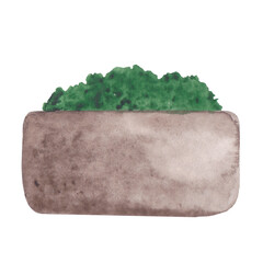 Watercolor illustration with house plant in clay, concrete, ceramic pot. Natural,eco, botanical style.  Moss, eucalyptus, succulent. Template for decor, design. Print for paper, sticker, poster, card.