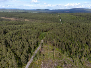 Aerial view of a narrow forest road, no cars. Drone photography taken from above in Sweden in summer. Surroundings with coniferous trees. Copy space. Travel and transportation concept.