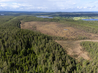 Obraz premium Aerial view of bog, fen field of peat. Drone photography taken from above in Sweden in summer. Surroundings with coniferous forest. Copy space.