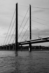 Rhine Bridge „Rheinkniebrücke“ spanning over River Rhine in Duesseldorf Germany on a summer evening with low sun. Tall pylons and diagona cable construction, black and white with high contrast.