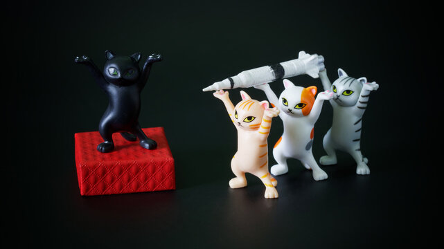 Toy dancing kittens from the meme carry a rocket to their leader. Preparation for the use of weapons of mass destruction. Apocalyptic anti-war concept. Black background.