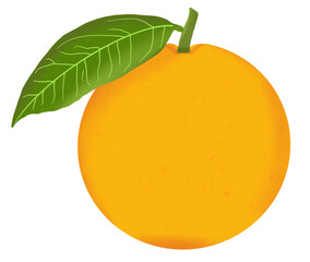 orange fruit with leaf