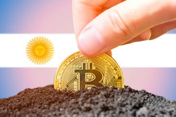 Legalization of bitcoins in Argentina. Landing bitcoin in the ground against the background of the...