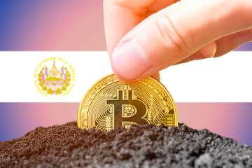 Legalization of bitcoin in El Salvador. Landing bitcoin in the ground against the background of the...