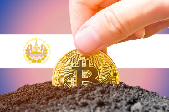 Legalization of bitcoin in El Salvador. Landing bitcoin in the ground against the background of the flag of El Salvador. El Salvador - investment in cryptocurrency.