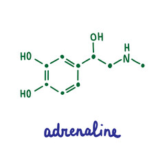 Adrenaline hand drawn vector formula chemical structure