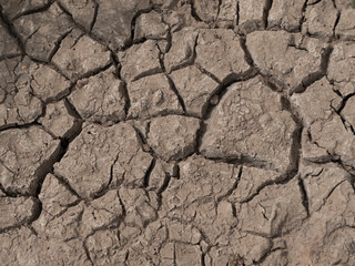 dried out dark soil with a lot of texture from a dried up lake
