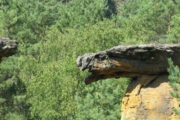 stone statue in the forest
