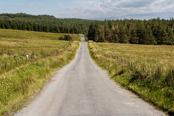 Fototapeta na wymiar Small narrow country road into a green dense forest green fields on each side. Blue cloudy sky. West of Ireland. Transportation and farming industry.